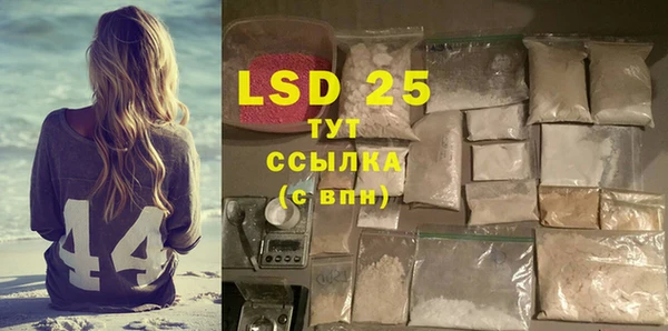спиды Гусев
