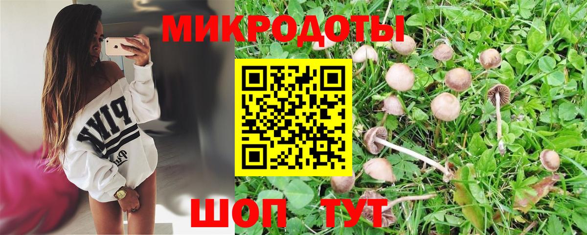 Галлюциногенные грибы прущие грибы Дзержинский