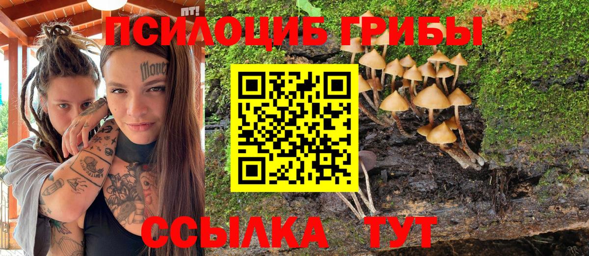 Дзержинский  Галлюциногенные грибы прущие грибы  Галлюциногенные грибы Cubensis  Вход с VPN 